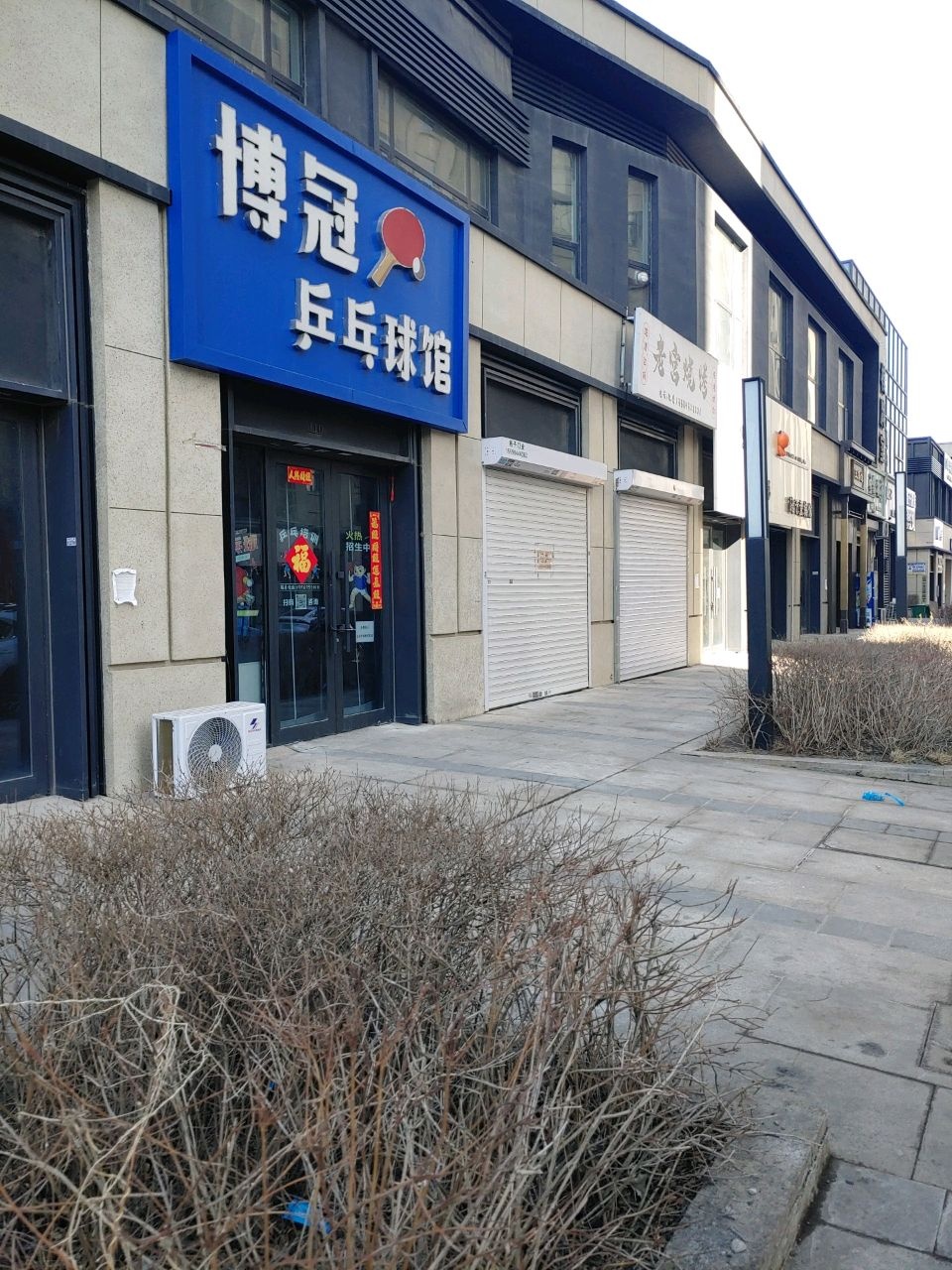 博冠乒乓球