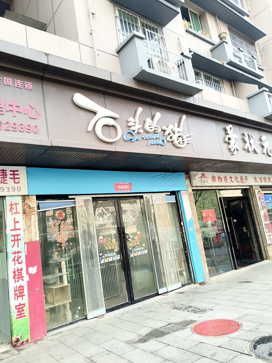 石头的猫(宠物店)