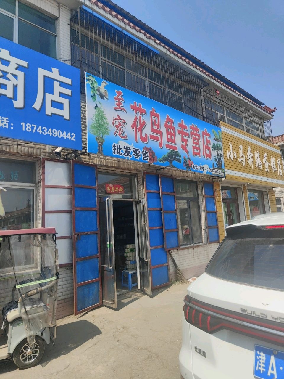 至宠花鸟鱼专营店