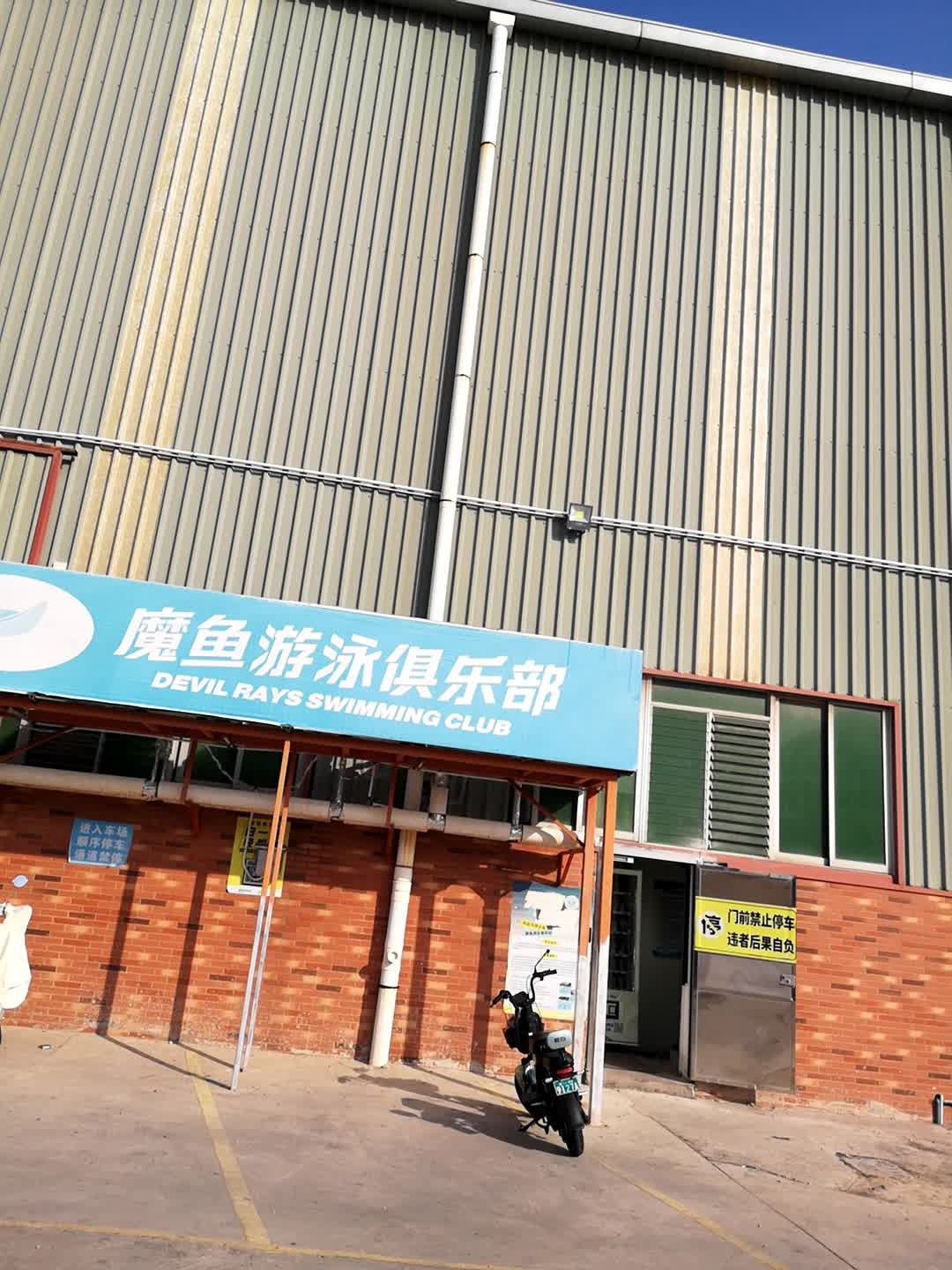 魔鱼游泳俱乐部