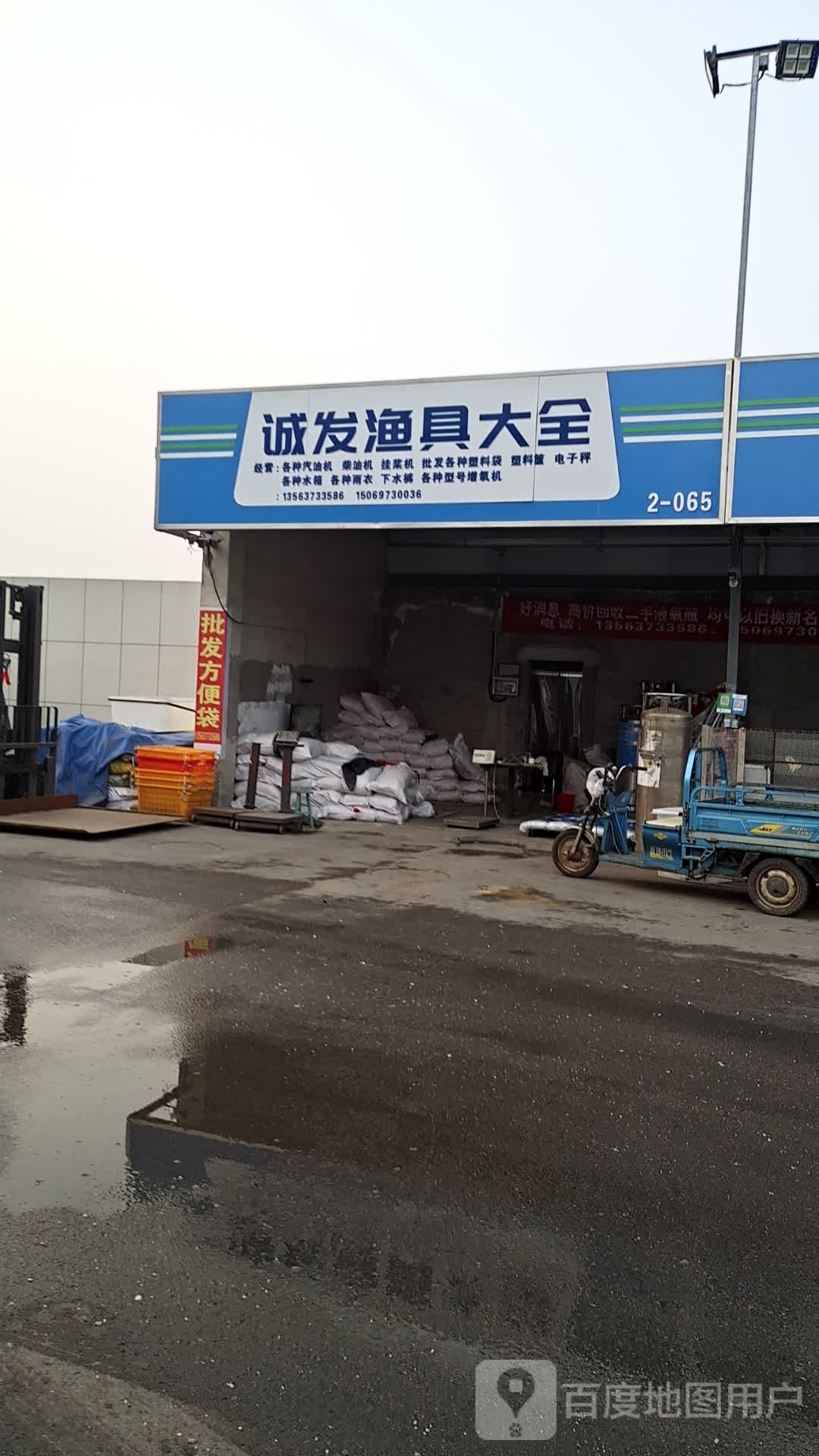 诚发鱼需批发