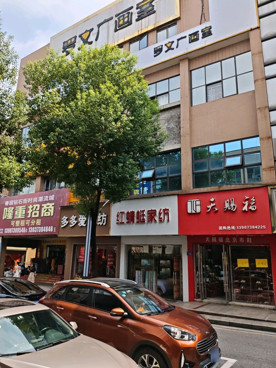 罗文广美术书法