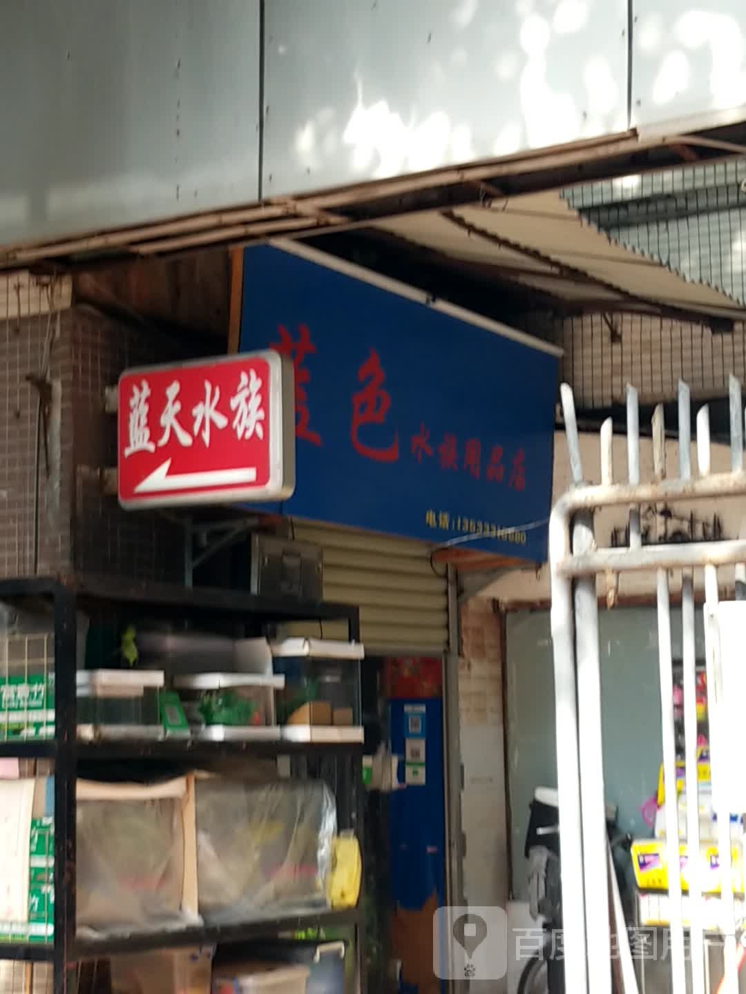 蓝色水族用品店