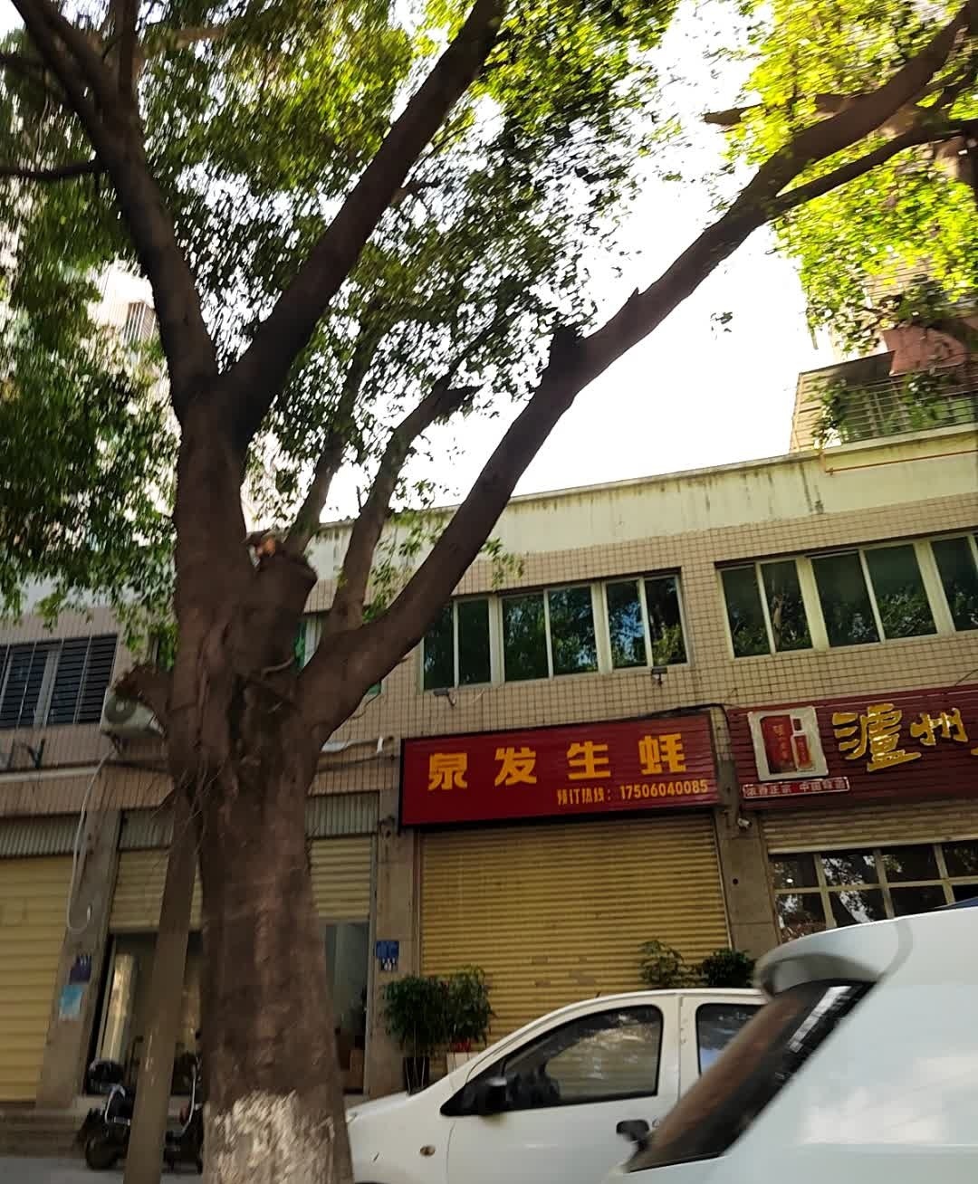 泉发生蚝(金盾商住花苑店)