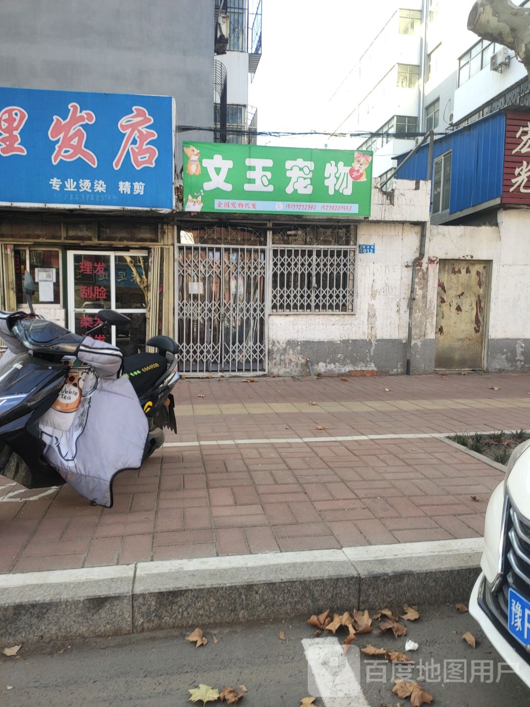 文玉宠物店