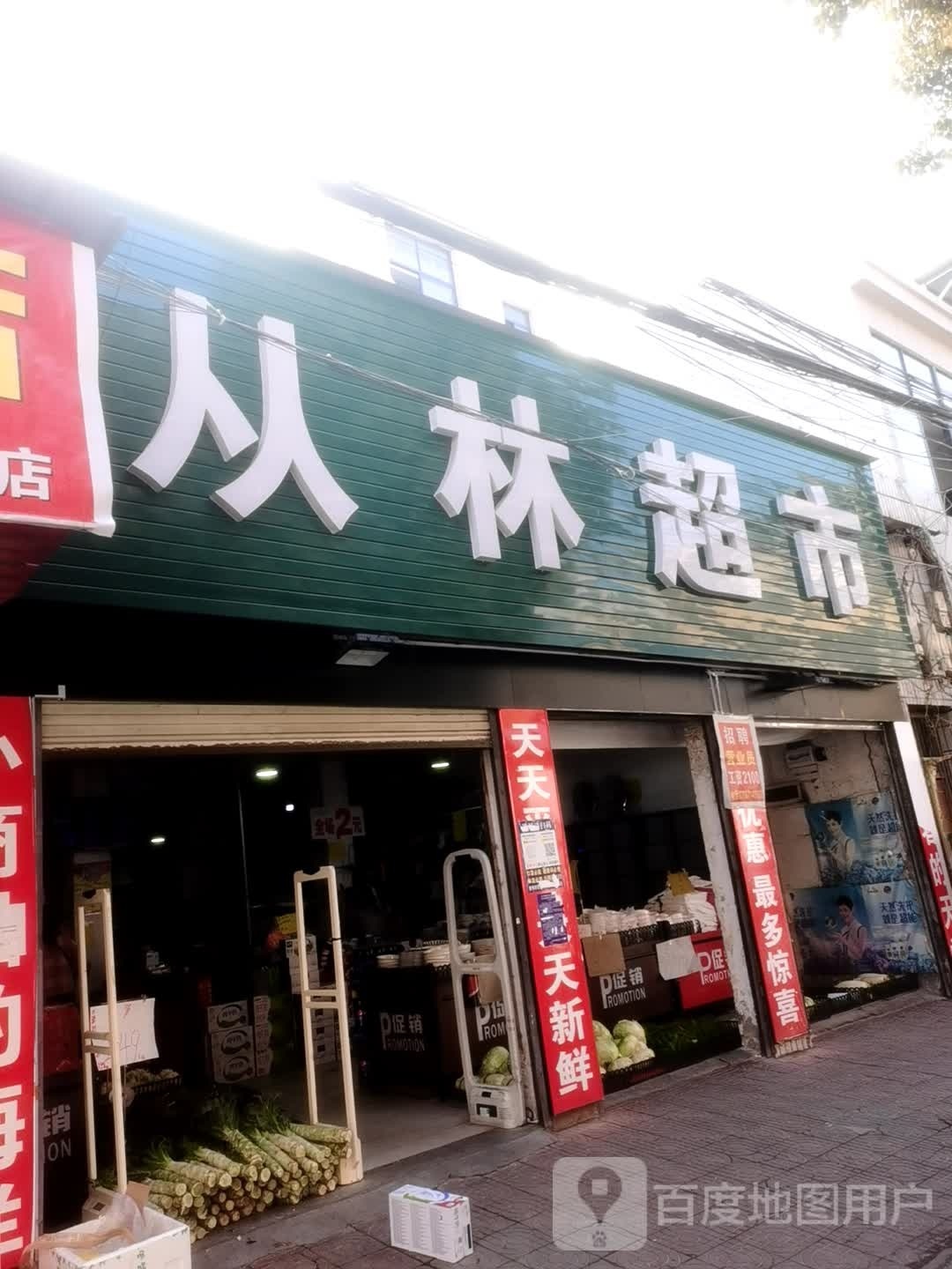 从林美食