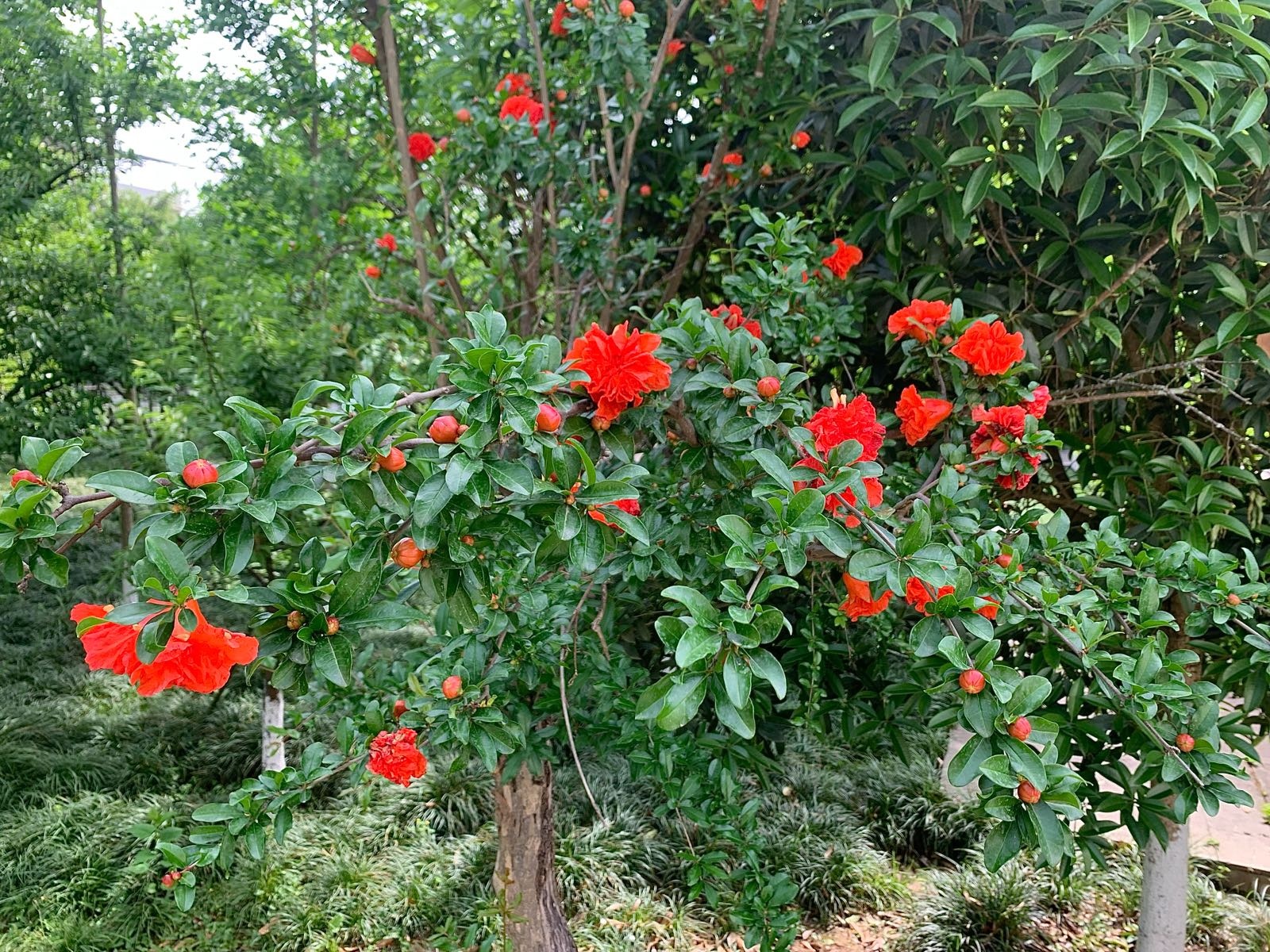 聚德山庄