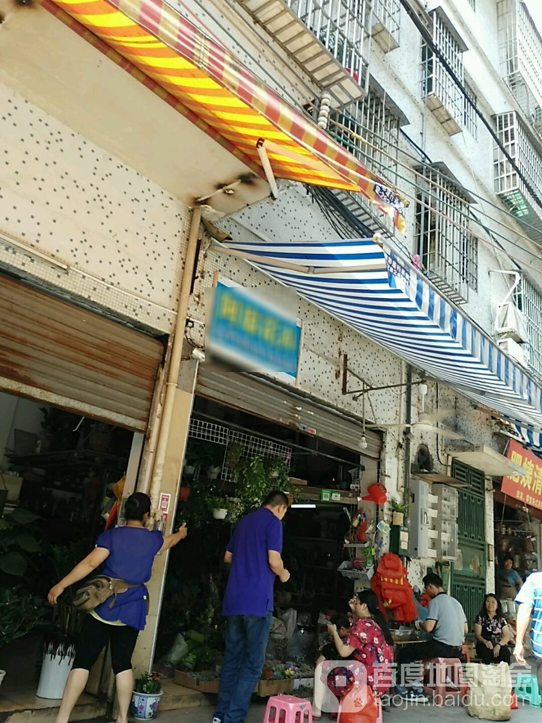 阿琼花卉