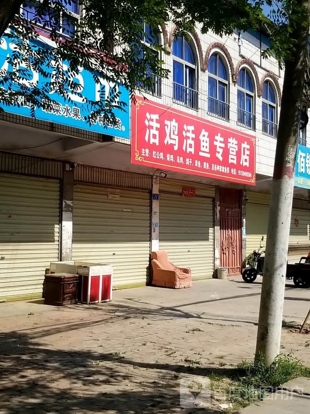 沈丘县槐店回族镇活鸡活鱼专营店