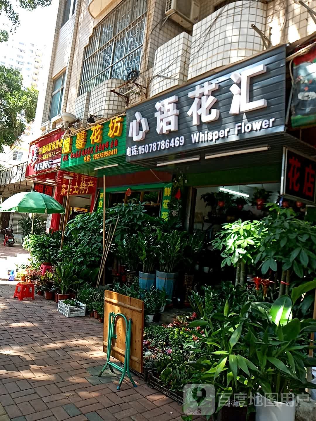 心语花汇