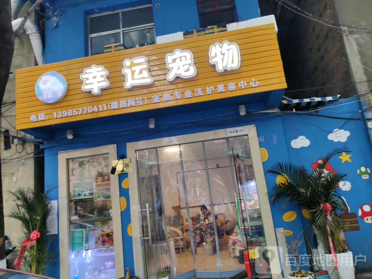 幸运宠物店