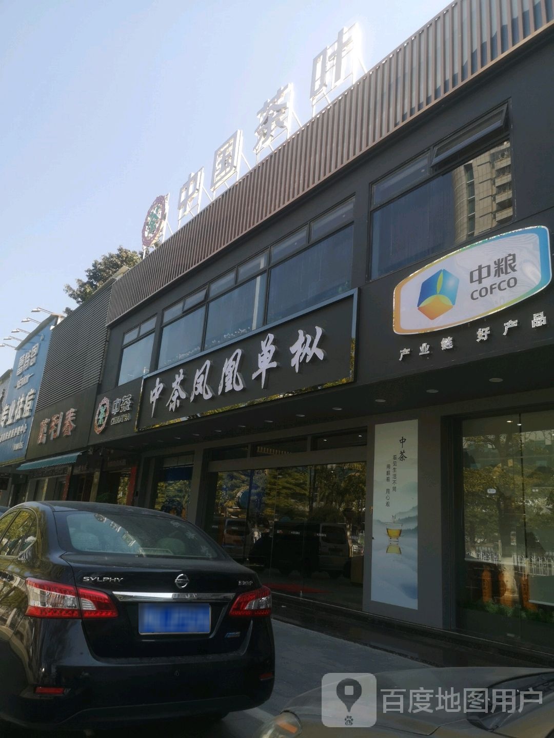 中茶凤凰单枞(潮枫路店)