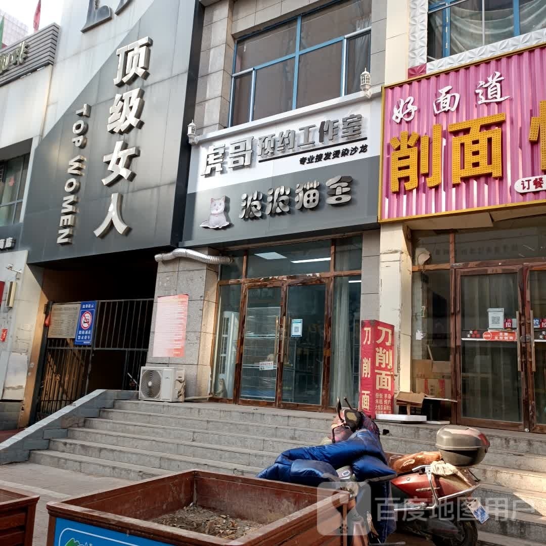 波波猫舍(金城国际店)