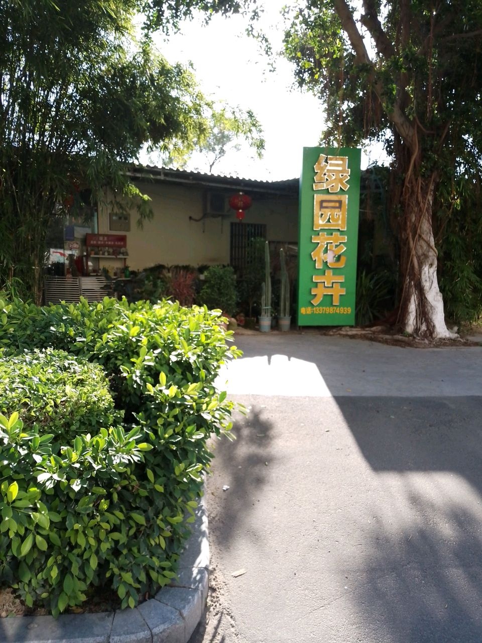 绿园花卉(二环南路店)