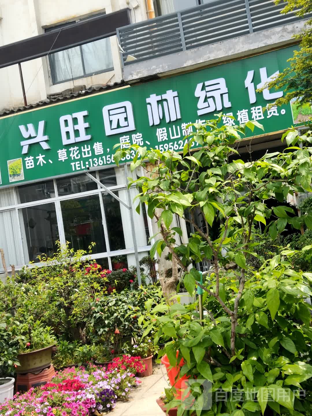 兴旺园林绿化