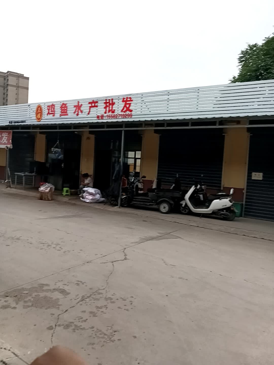 三娃鸡鱼水产批发