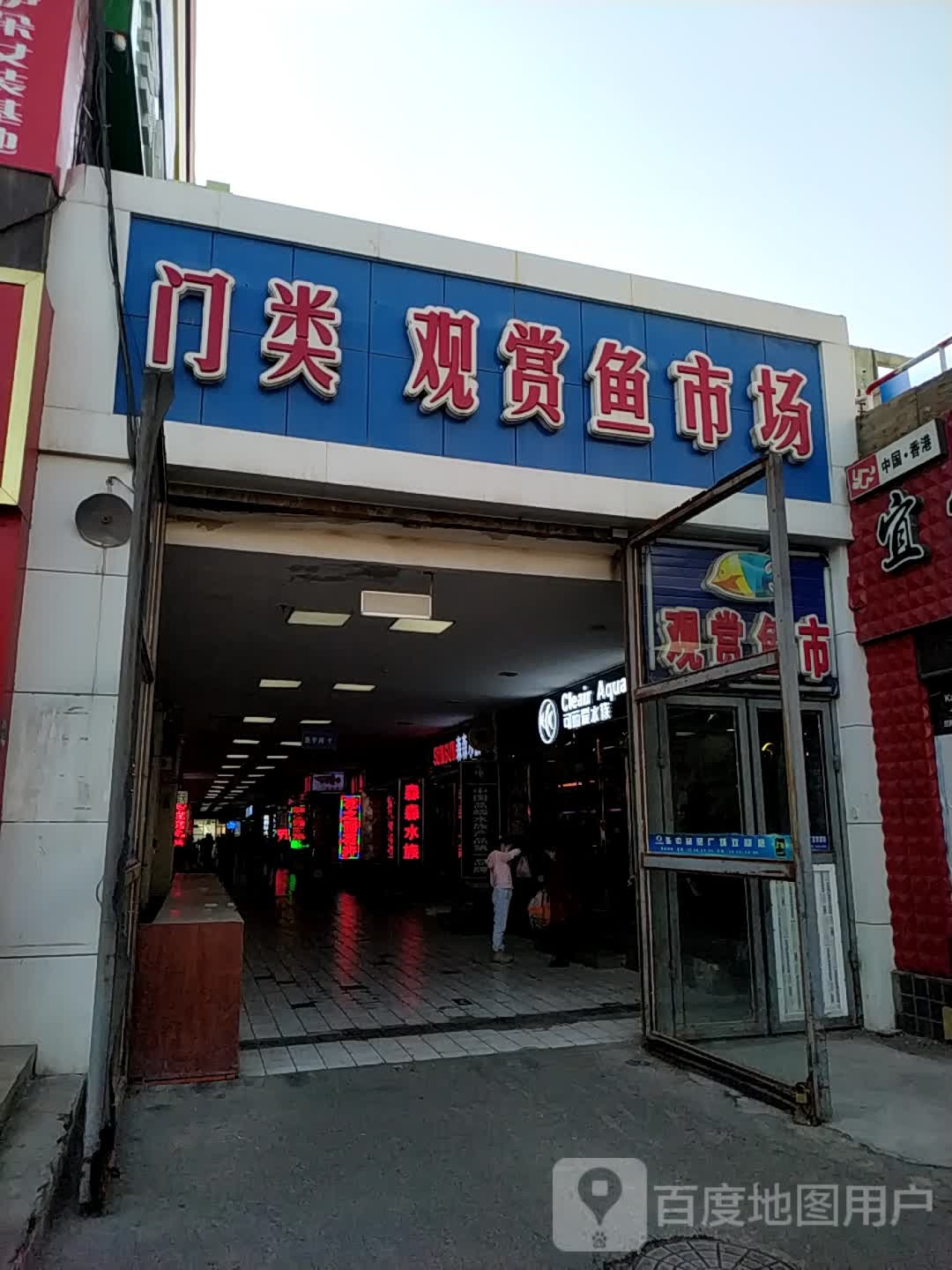 门类观赏鱼虫市(亚中商贸广场店)