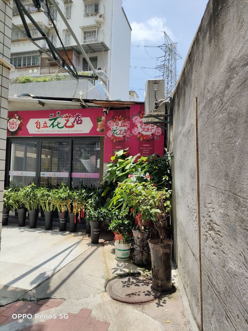 自立花艺店(万千世界社区商城店)
