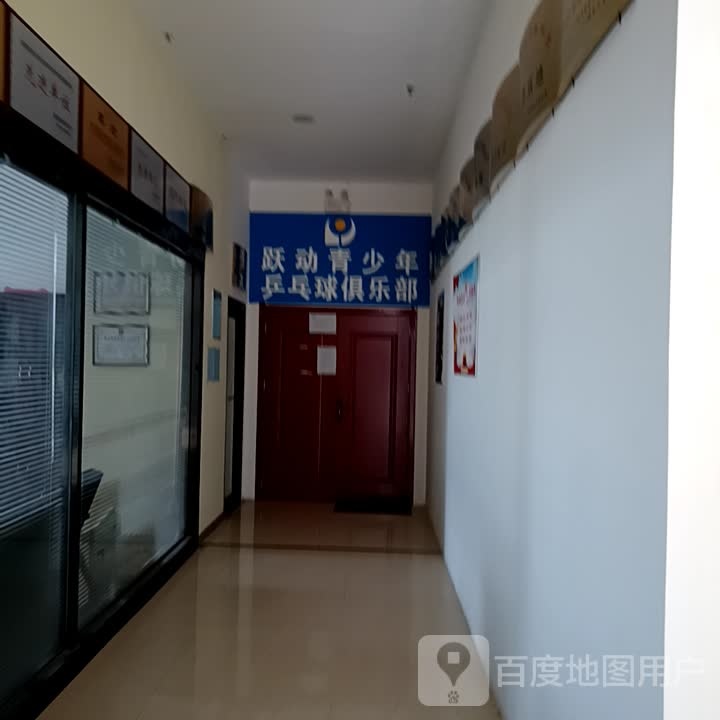 跃动青少年乒乓球具乐部(上亿广场台湾士林不夜城店)