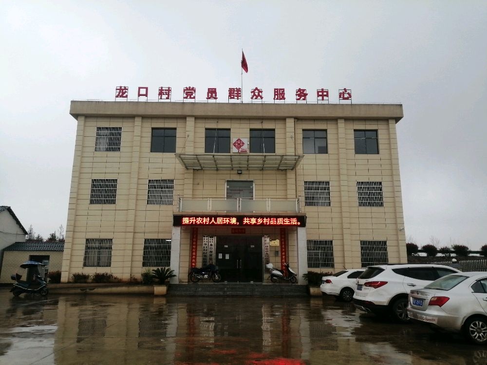 阳新县排市镇龙口村退役军人服务站