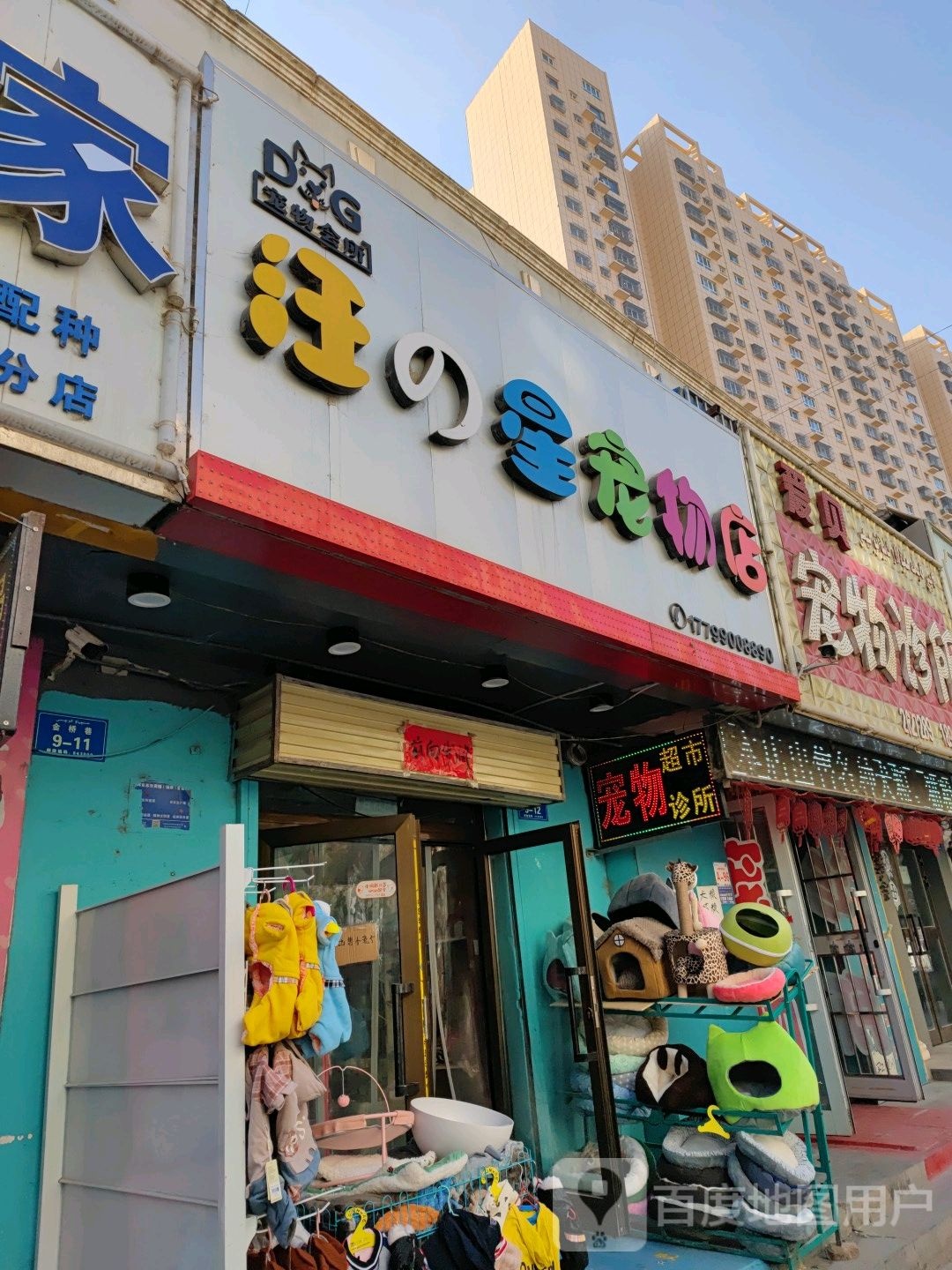 汪之星宠物店