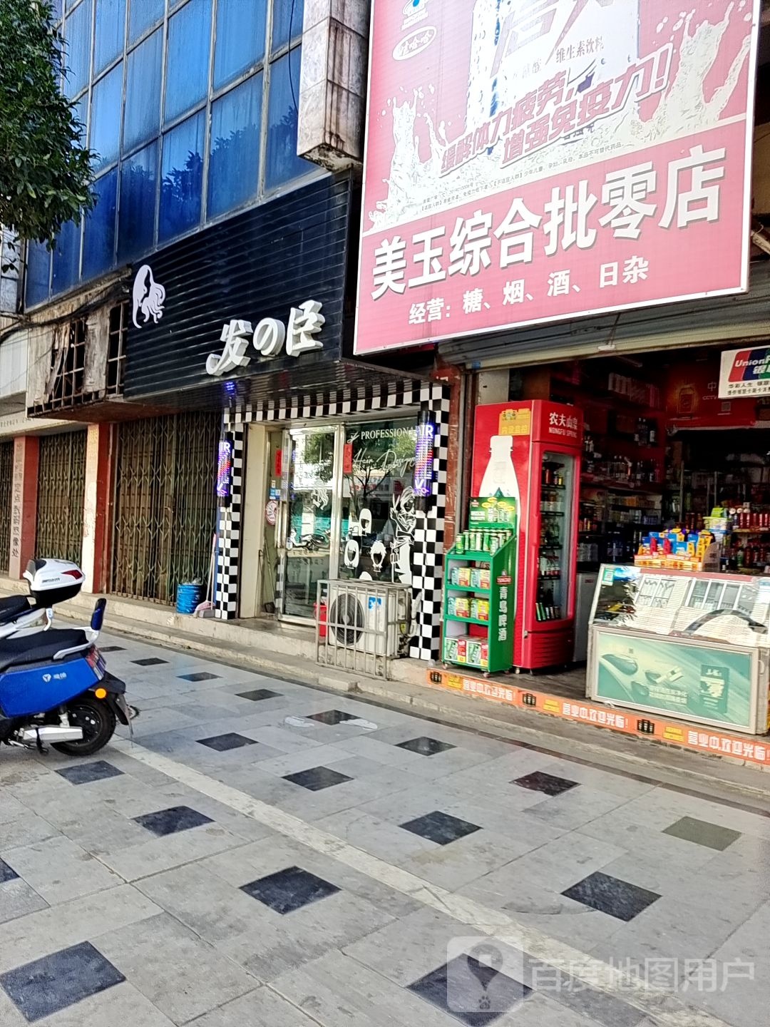 发臣