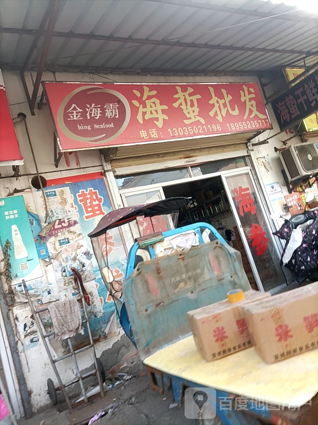 金海霸海蜇批发