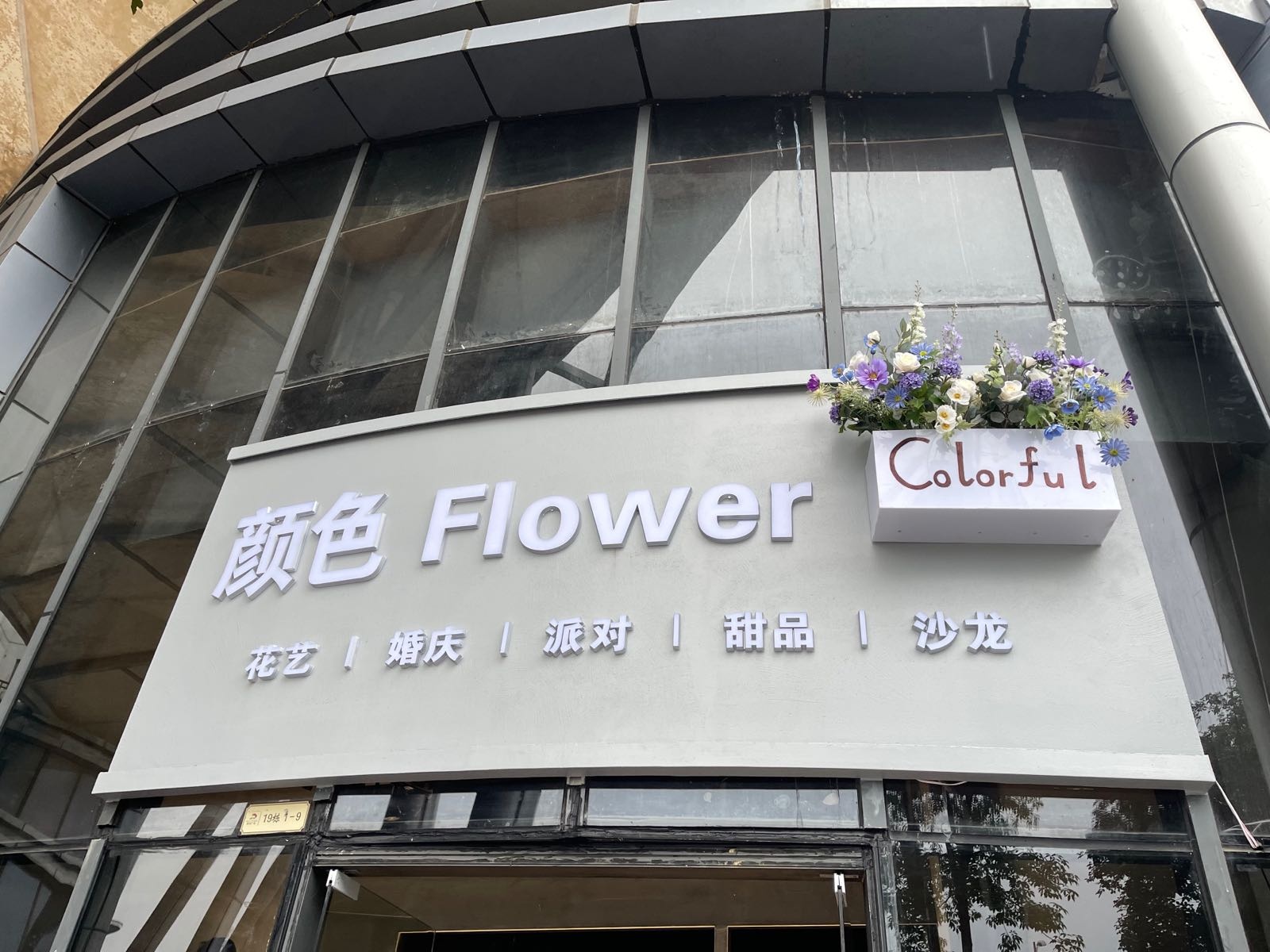 颜色Flower