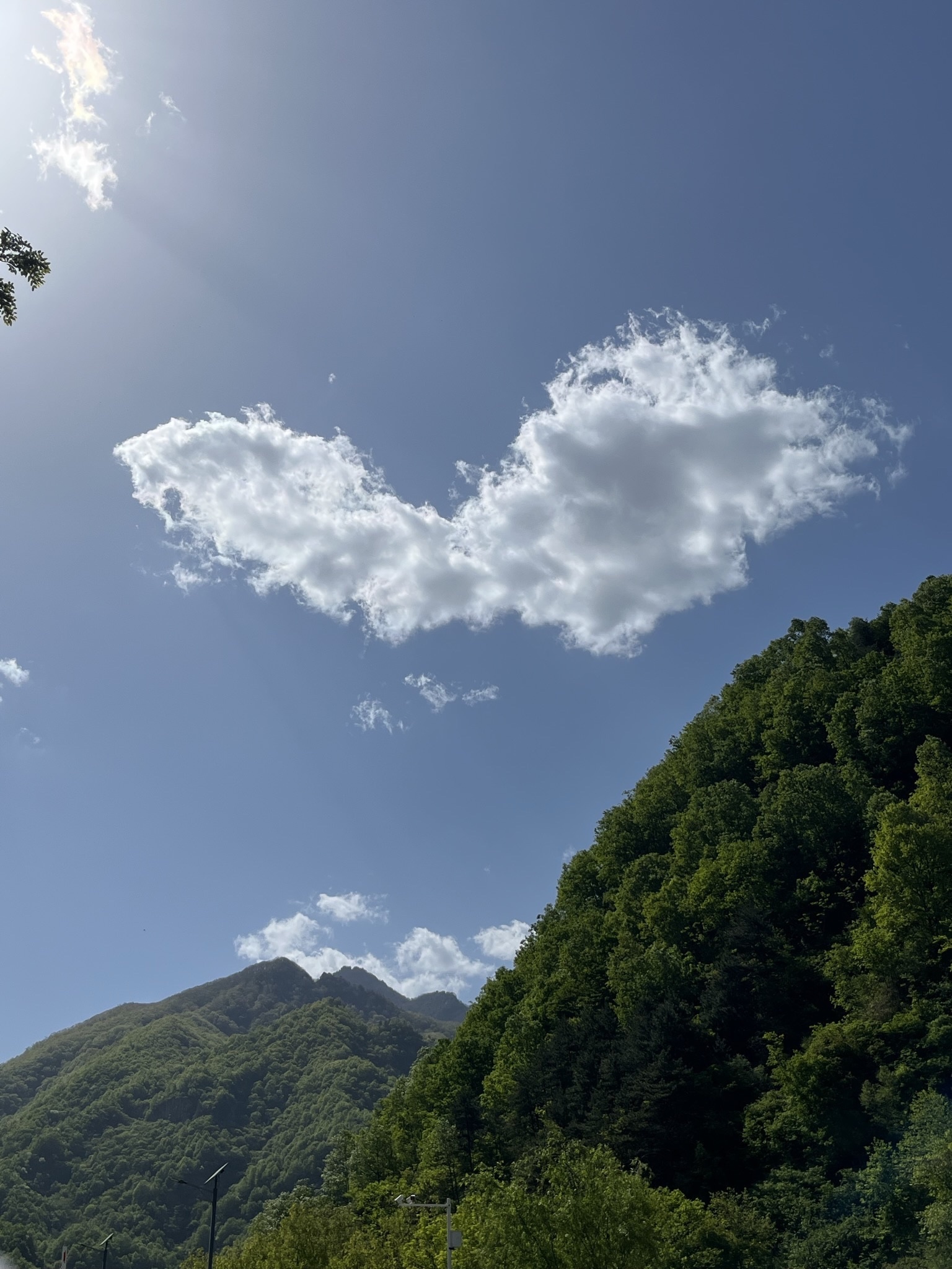 终南山寨