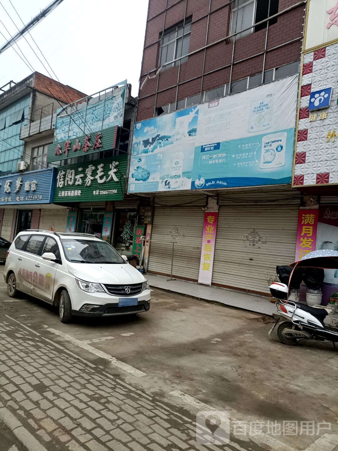信阳云雾毛尖