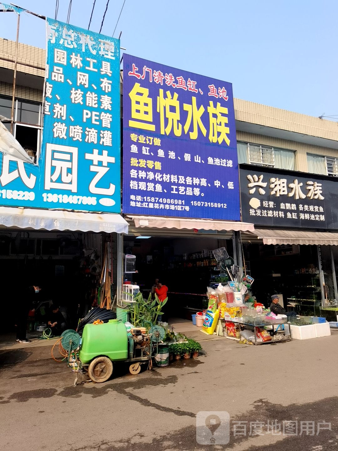 红星花卉市场一区7号鱼悦水族