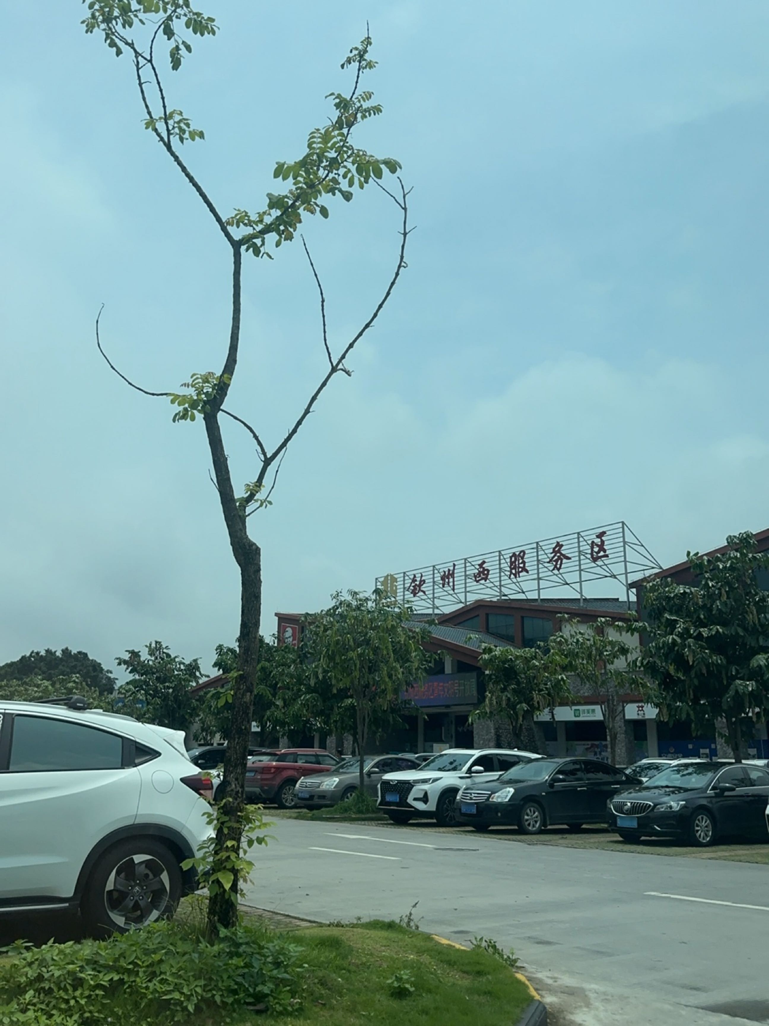 钦州西服务区驿之味