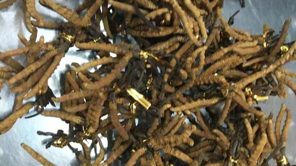 聚盛高价回收老酒虫草