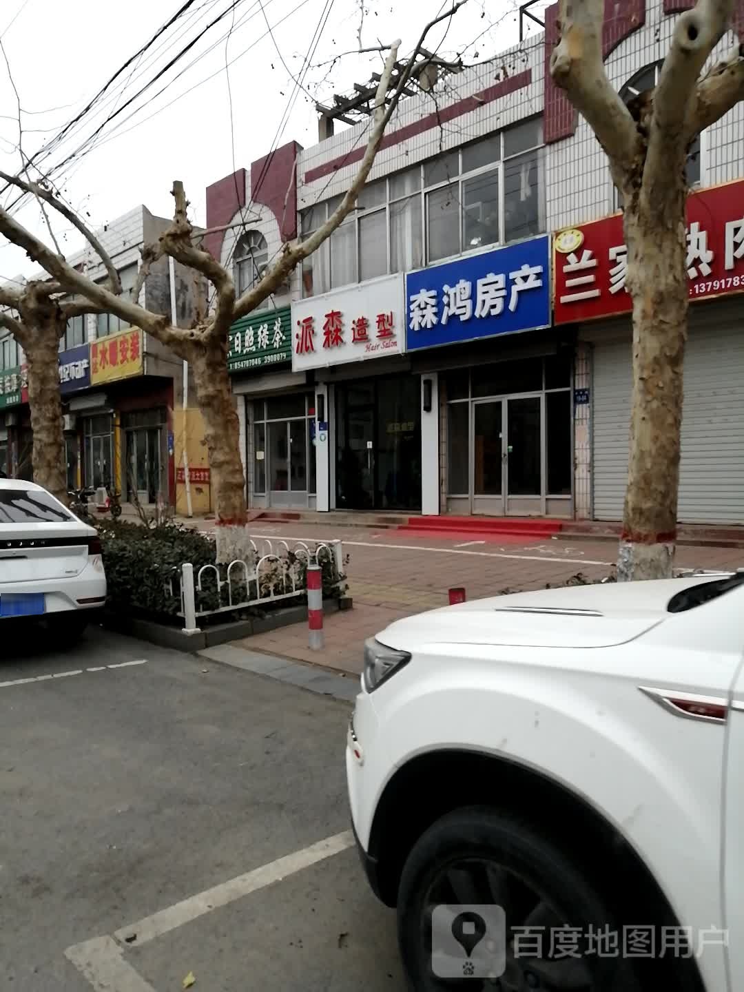 派森林造型