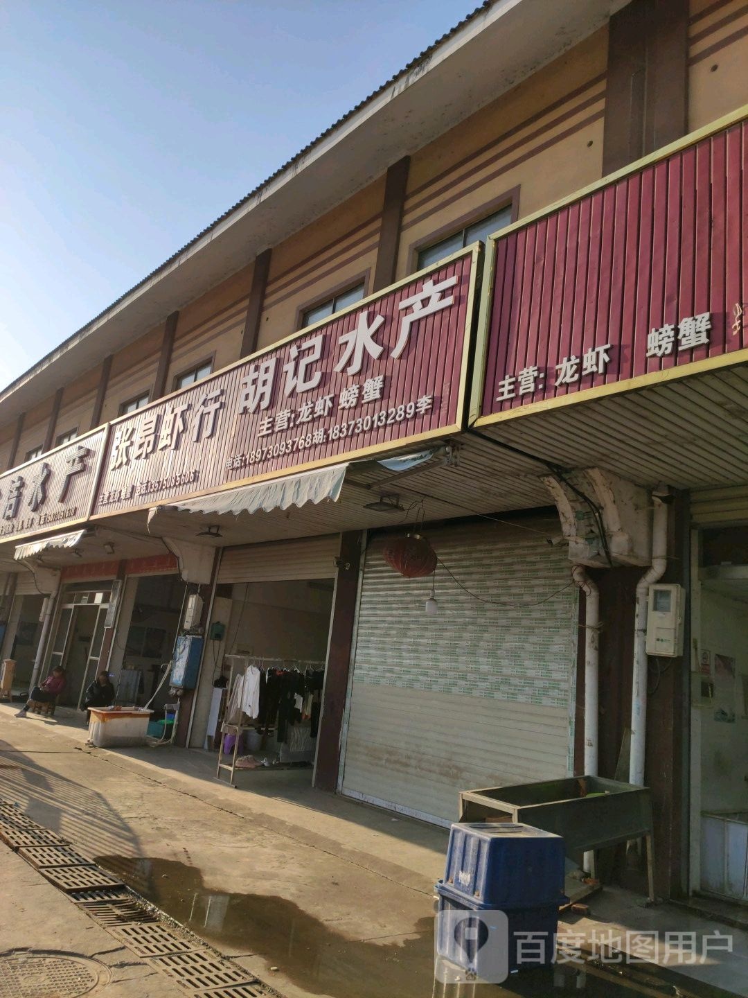 张昂虾行