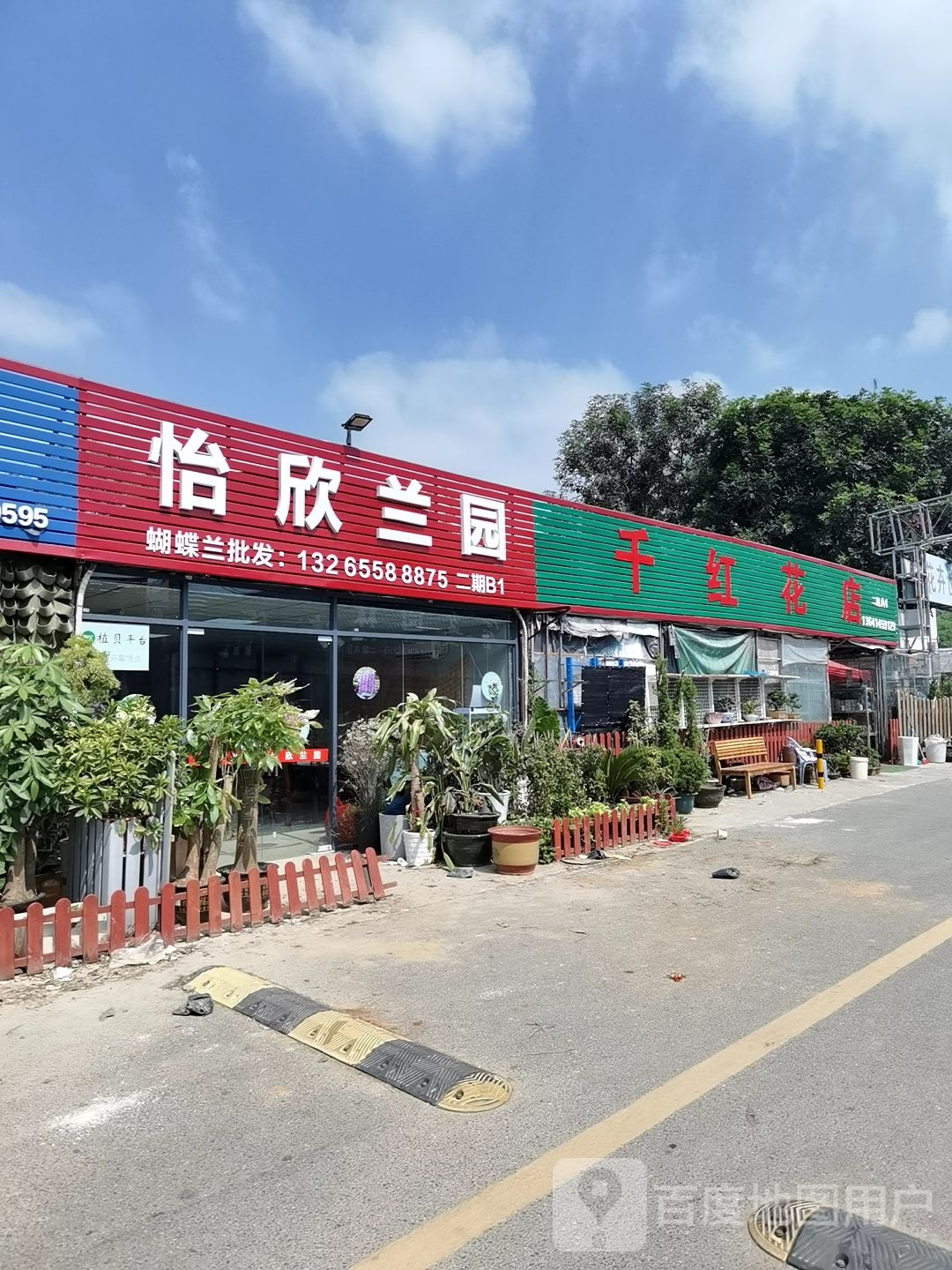 千红花店