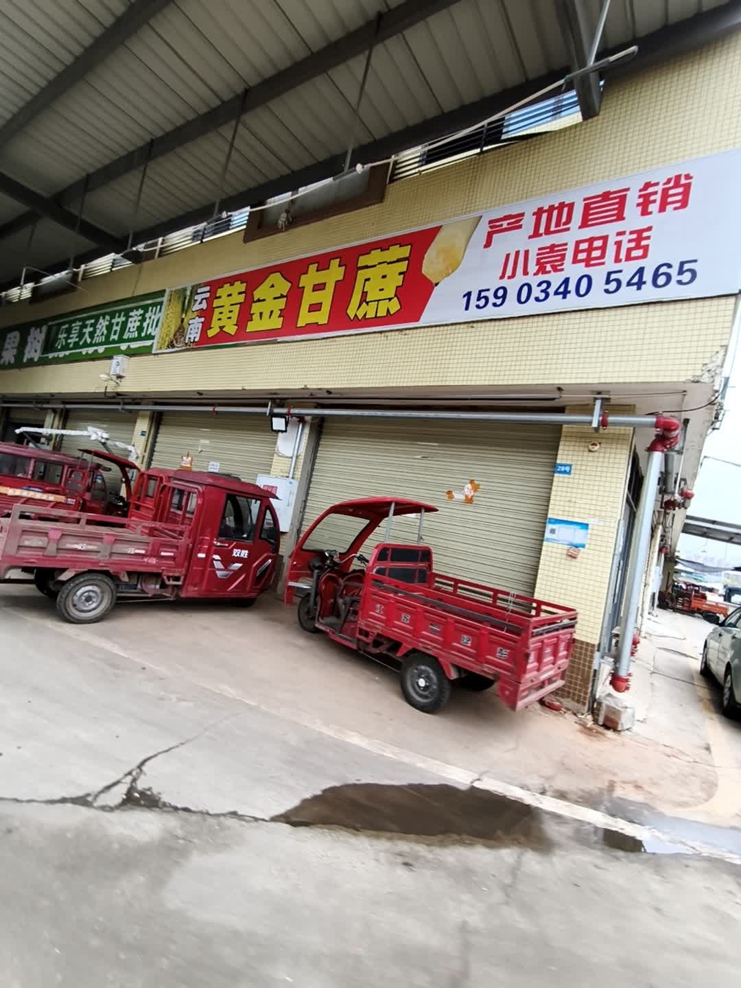 云南黄金甘蔗批发
