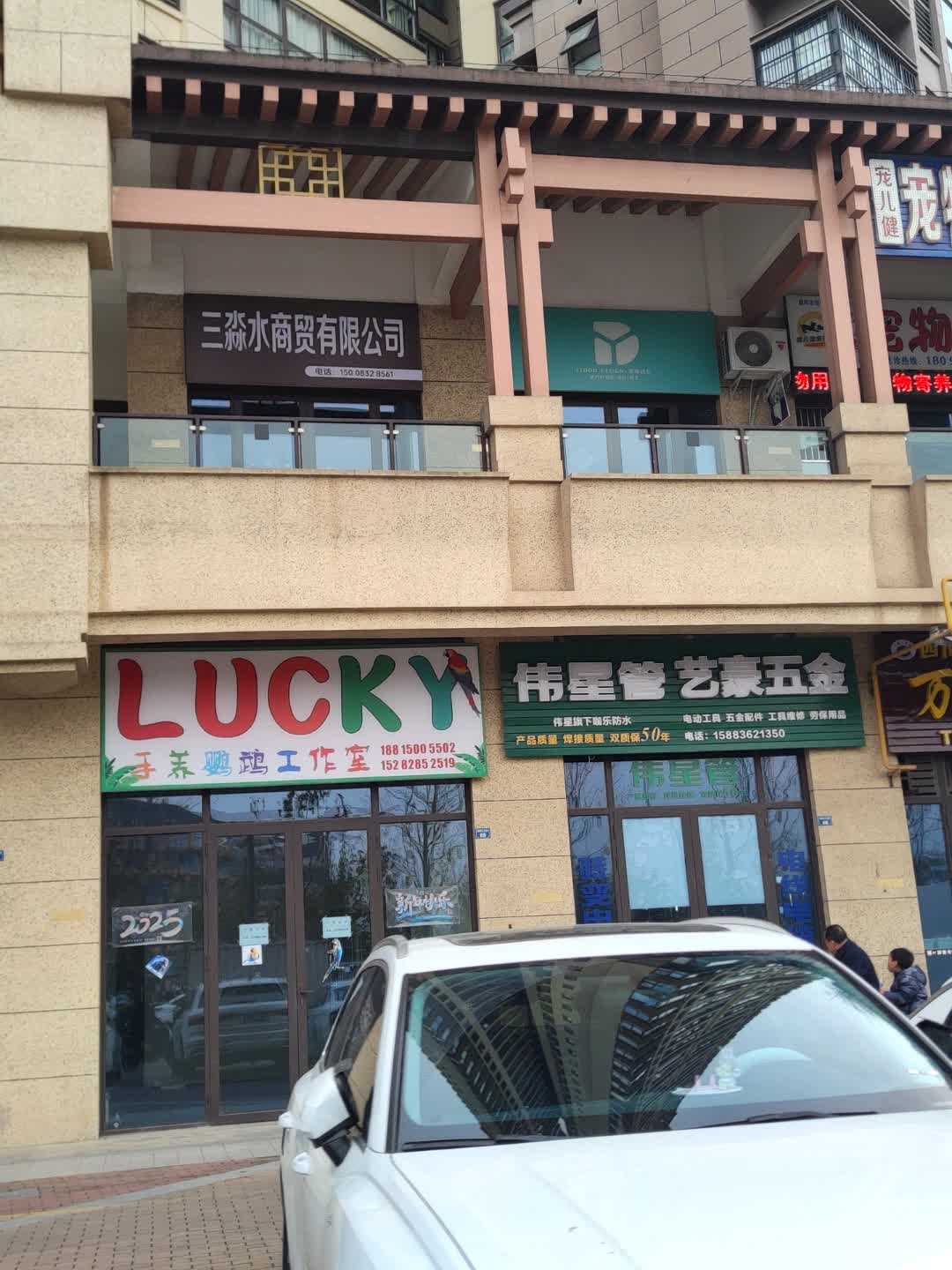 LUCKY·手养鹦鹉工作室