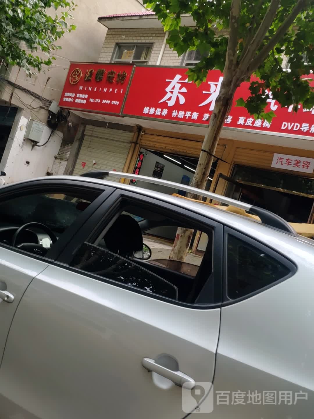 温馨宠物