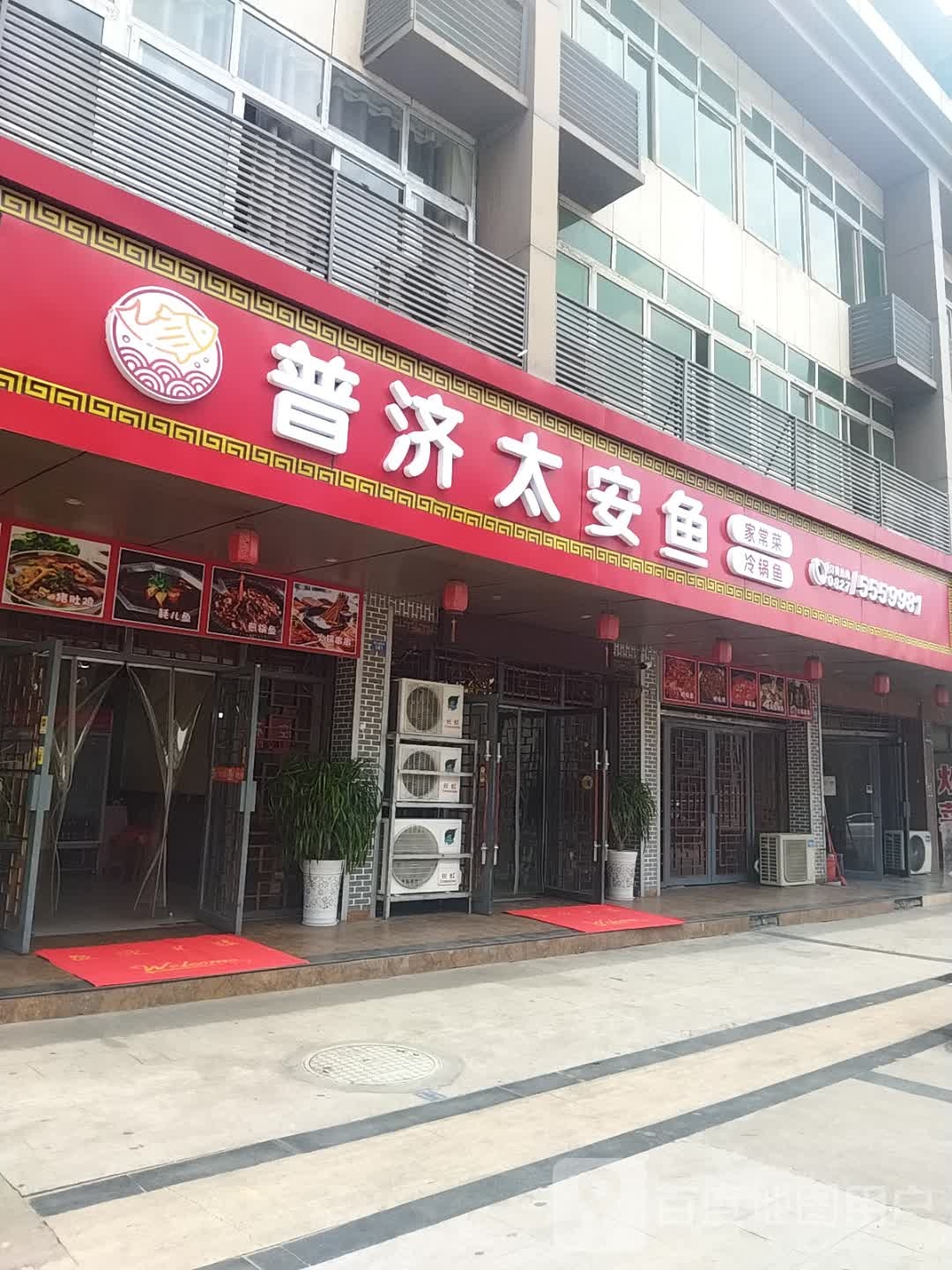 普济太安鱼
