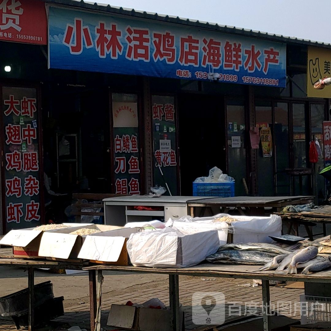 小林活鸡活鱼海鲜水产