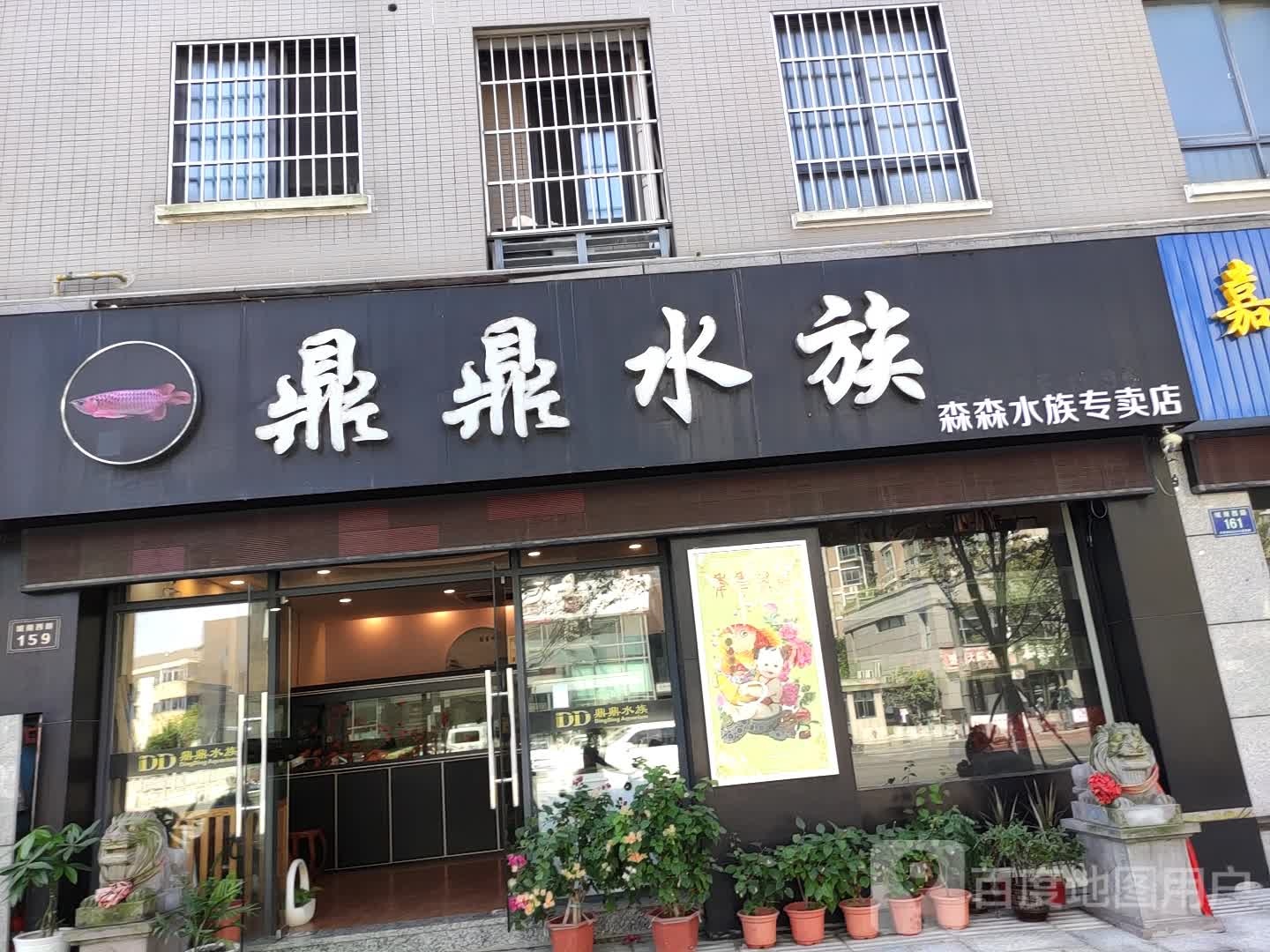 顶顶水族泗海龙源生活馆(平湖店)