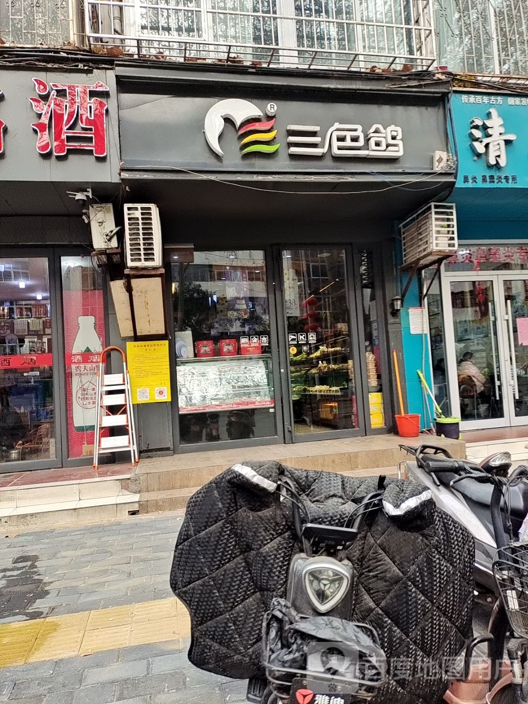 三色鸽(十三中店)