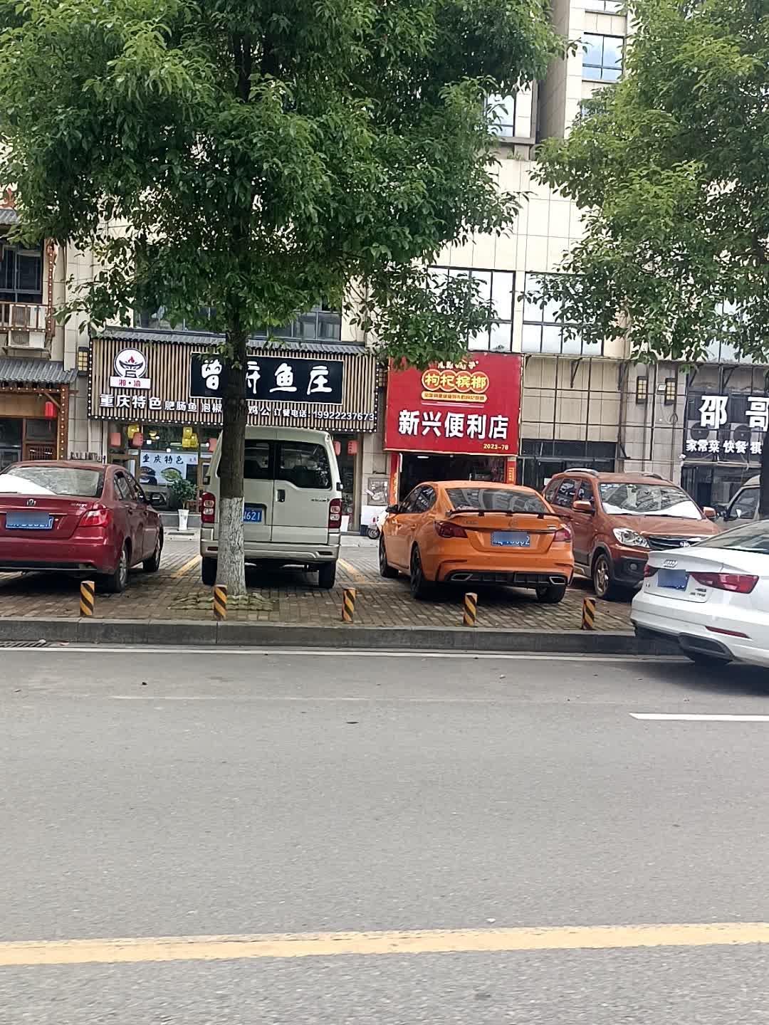 曾府鱼庄(湘泰·九龙城店)
