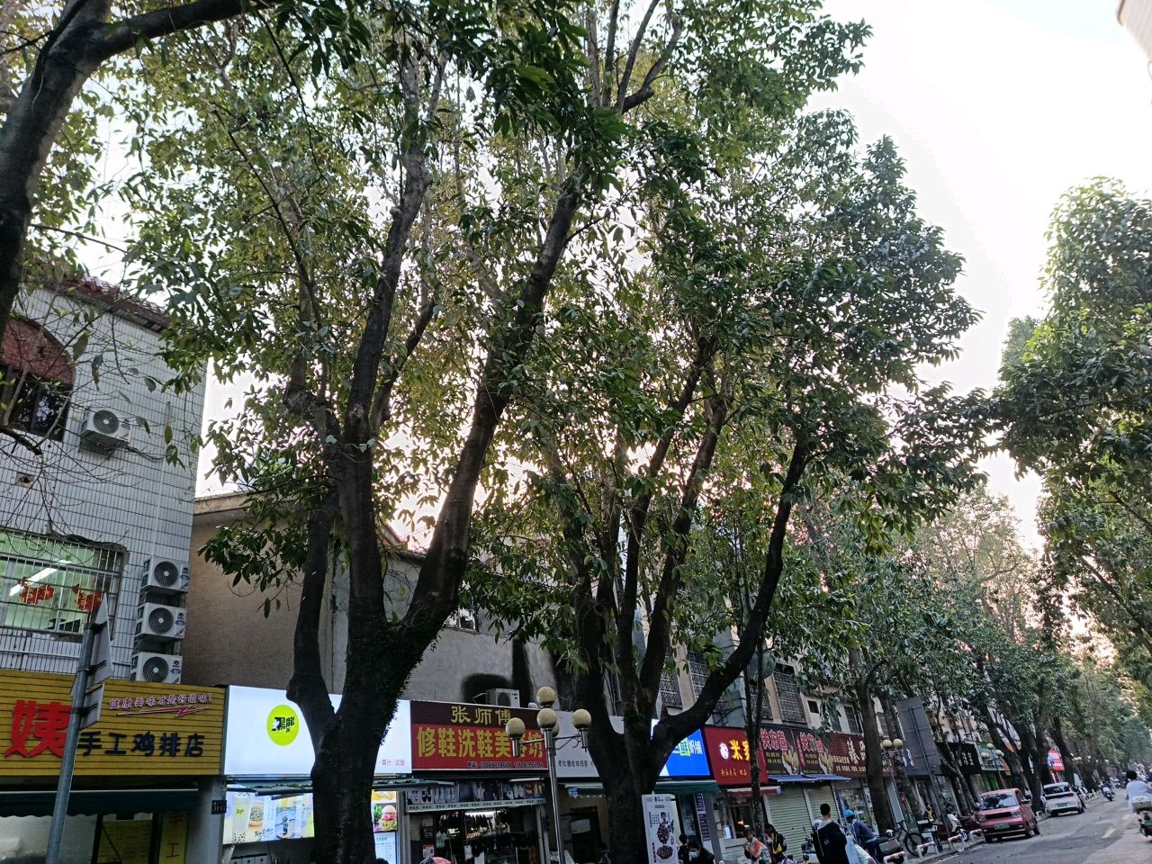 吴姨手工鸡排店