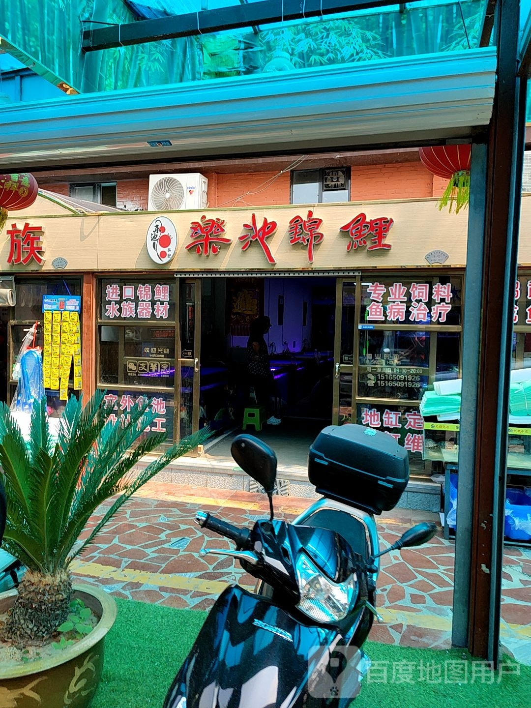 乐池锦鲤