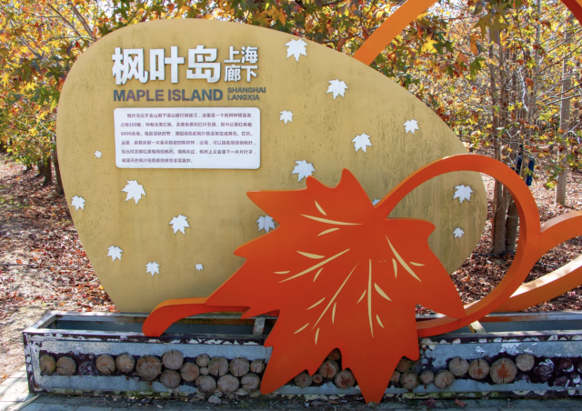 枫叶岛