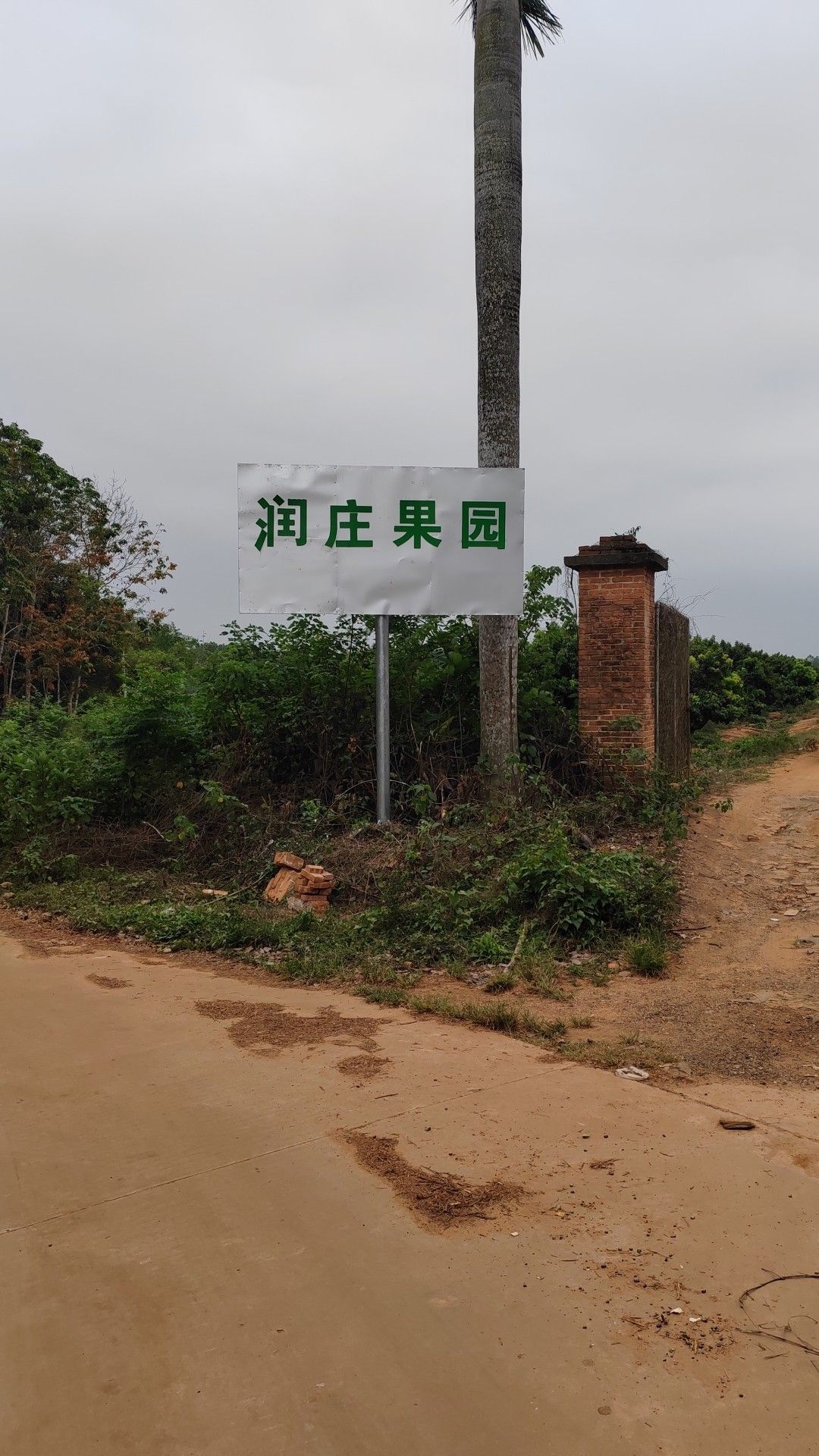 润庄果园