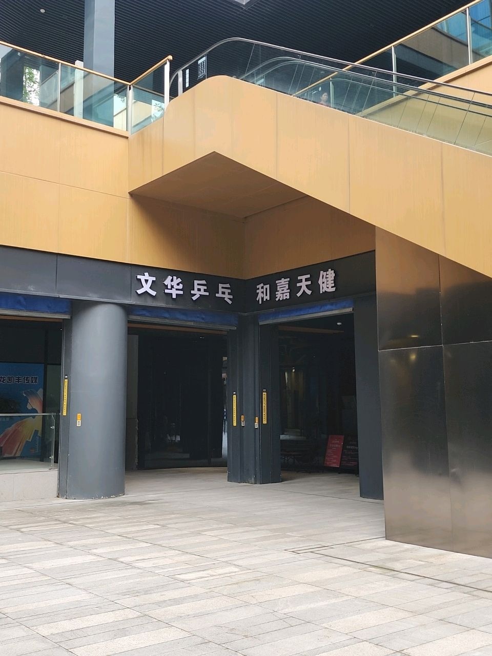 文华乒乓和嘉天健(天府艺术公园店)