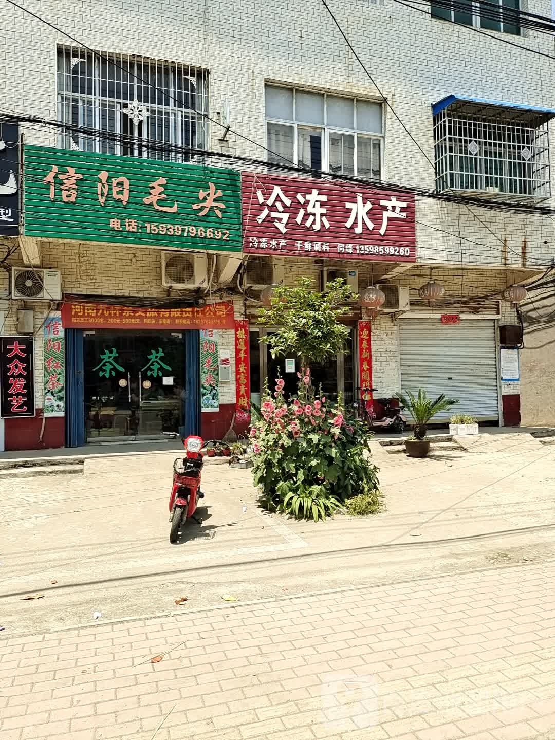 息县项店镇信阳毛尖